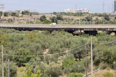 Natura, torri e chiese rupestri: alla scoperta di Lama Picone, il "fiume di Bari"